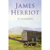 Vet in Harness - James Herriot