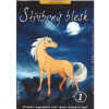Stříbrný blesk 1 - DVD