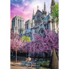 Trefl - Puzzle Premium Plus Photo Odyssey: Katedrála Notre-Dame, Paríž - 1000 dielov