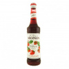 Monin strawberry