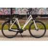 Mestsky bicykel - Viacnásobný bicykel šľachty IgE D57 (Viacnásobný bicykel šľachty IgE D57)