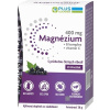 PLUS LEKÁREŇ Magnézium 400 mg+B komplex+vitamín C vrecúška s príchuťou čiernych ríbezlí 1x20 ks VITAR s.r.o.