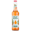 Monin Pure Peach Apricot koncentrát broskyňa a marhuľa bez cukru 0,7 L