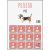 Pexeso Psi (Jana Uhlířová)