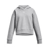 Detská Mikina UNDER ARMOUR UA RIVAL FLEECE CROP HOODIE 1379517-012 – Sivá
