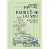Probuď se do snu - Dumitru Ţepeneag