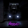 2LP The Prodigy: No Tourists LTD | CLR