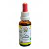 Salvia Paradise Saw palmetto standardizovaný extrakt 30 ml