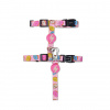 Dashi Donut Cat Harness + Leash - postroj a vodítko pre mačky, set, donut vzor