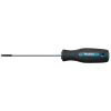 Makita Skrutkovač Torx T10 100 mm E-13415