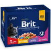 Brit Premium Cat kapsička Family 12x100g