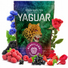 Yerba Mate Yaguar BERRYLAND 500g malinové ríbezle