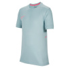 Nike Academy Top Juniors Grey/Pink 9-10 rokov