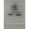Co se vyjevuje - Daniela Hodrová