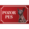 Mexický naháč stredný - Kovová tabuľka POZOR PES