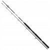 Daiwa BG Boat 2,1m 150-400g 2 diely