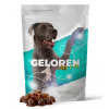 Geloren Dog L-XL kĺbová výživa pre veľký psy 420g 60ks