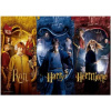 Harry Potter: Harry & Ron & Hermione - Mladí čarodejnící - Harry Potter