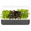 Šikovný kvetináč Kvetináč Click and Grow Smart Garden 9 sivý SG9G