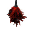 Pipedream Fetisch Fantasy Series Frisky Feather Duster Červený