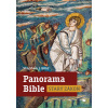 Panorama Bible - Starý zákon - Stephen J. Binz