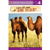 Life in the Gobi Desert - Ginjer L. Clarke