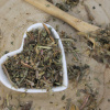 Púpava lekárska - list narezaný - Taraxacum officinale - Folium taraxaci 250 g