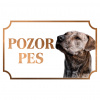 Uruquajský cimarron - Kovová tabuľka POZOR PES