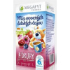 MEGAFYT MIX ovocných detských čajov 4 DRUHY (od ukonč. 6. mesiaca) 20x2 g (40 g)