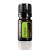 doTERRA Forgive (Odpustenie) - Obnovujúca zmes 5 ml