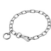 Obojok retiazkový nastaviteľný 3mm/45cm, karabína, stredné oko, chrómovaná oceľ, HS