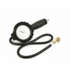 Geko T00240