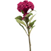Celosia Branch fuchsia 67 m