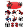 CUKROVÁ TLAČ jedlý obrázok na tortu Cukrová hmota SPIDERMAN AVENGERS POSTAVY 5