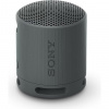 SONY SRS-XB100 Lehký a kompaktní bezdrátový reproduktor, Black SRSXB100B.CE7