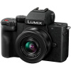 Panasonic Lumix DC-G100