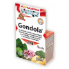 Floraservis Gondola 2 ml