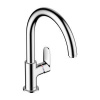 Hansgrohe Vernis 71870000