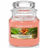Yankee Candle The Last Paradise 104 g