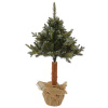 Vianočný stromček na kmeni gh 66 borovica so str.vetvou 120cm
