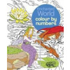 Enchanted World Colour by Numbers