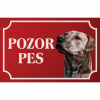 Uruquajský cimarron - Kovová tabuľka POZOR PES