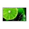 LED monitor NEC MultiSync E658 64,5 