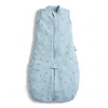 ERGOPOUCH Vak a overal na spanie 2v1 organická bavlna Suit Dragonflies 8-24 m, 8-14 kg, 0,2 tog
