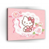 Obraz na plátne obdĺžnik - OB1687 - Hello Kitty 100cm x 75cm - O1