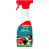 Carlson Garden Prípravok na odstránenie rias a machu 500 ml