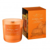 BARTEK CANDLES Vonná sviečka Pumpkin Spice Semi dry s dreveným knôtom 150g