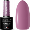 Hybridný farebný lak Claresa Odtiene fialovej Purple 613