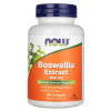 Now Foods Boswellia Extract 500 mg 90 kapsúl