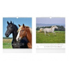 Horses 2026 - nástěnný kalendář